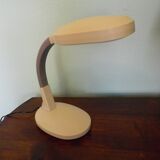 Tilting desk lamp
