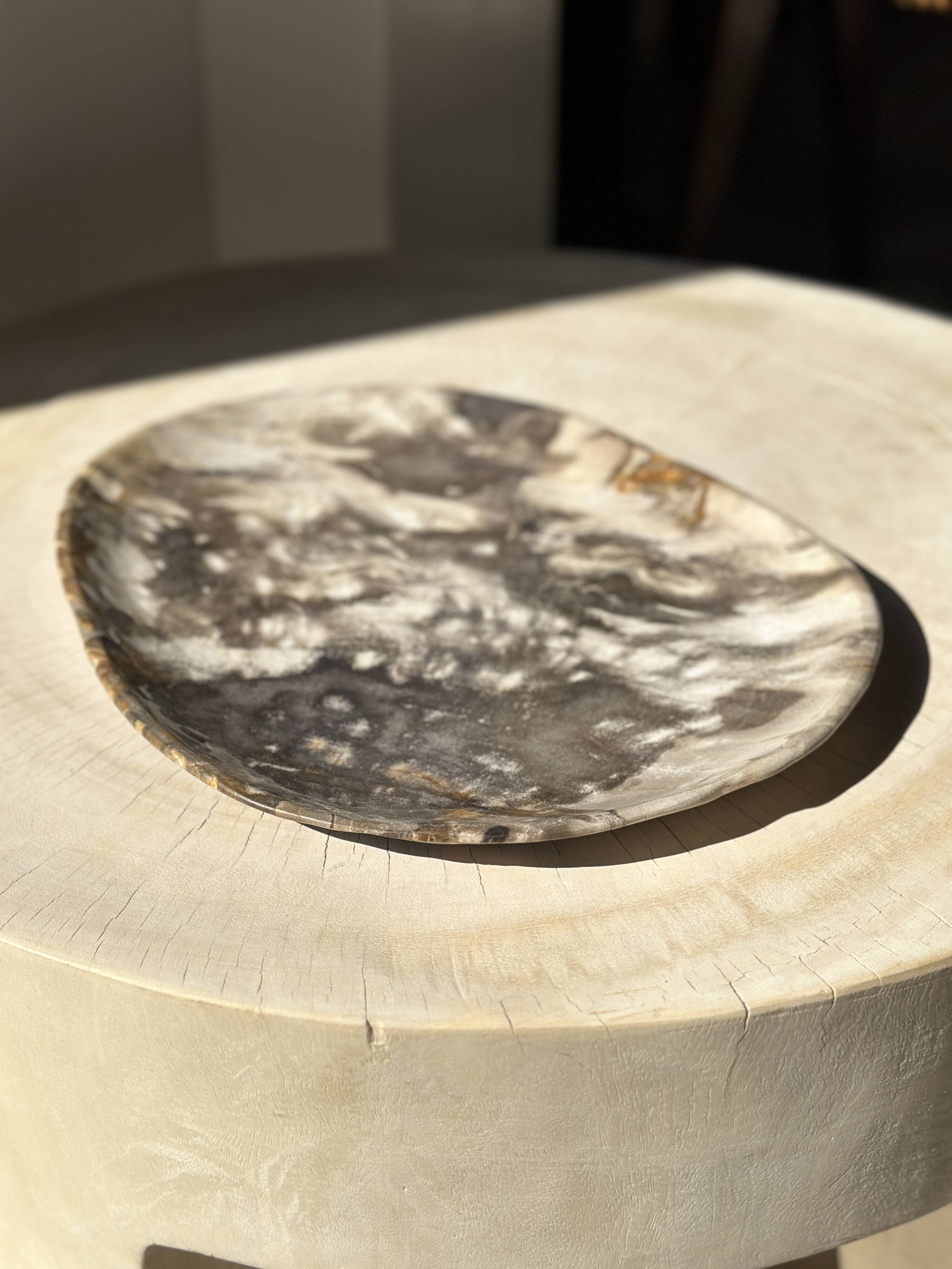 Very large empty pocket or dish in medium light petrified wood 1143