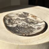 Very large empty pocket or dish in medium light petrified wood 1143