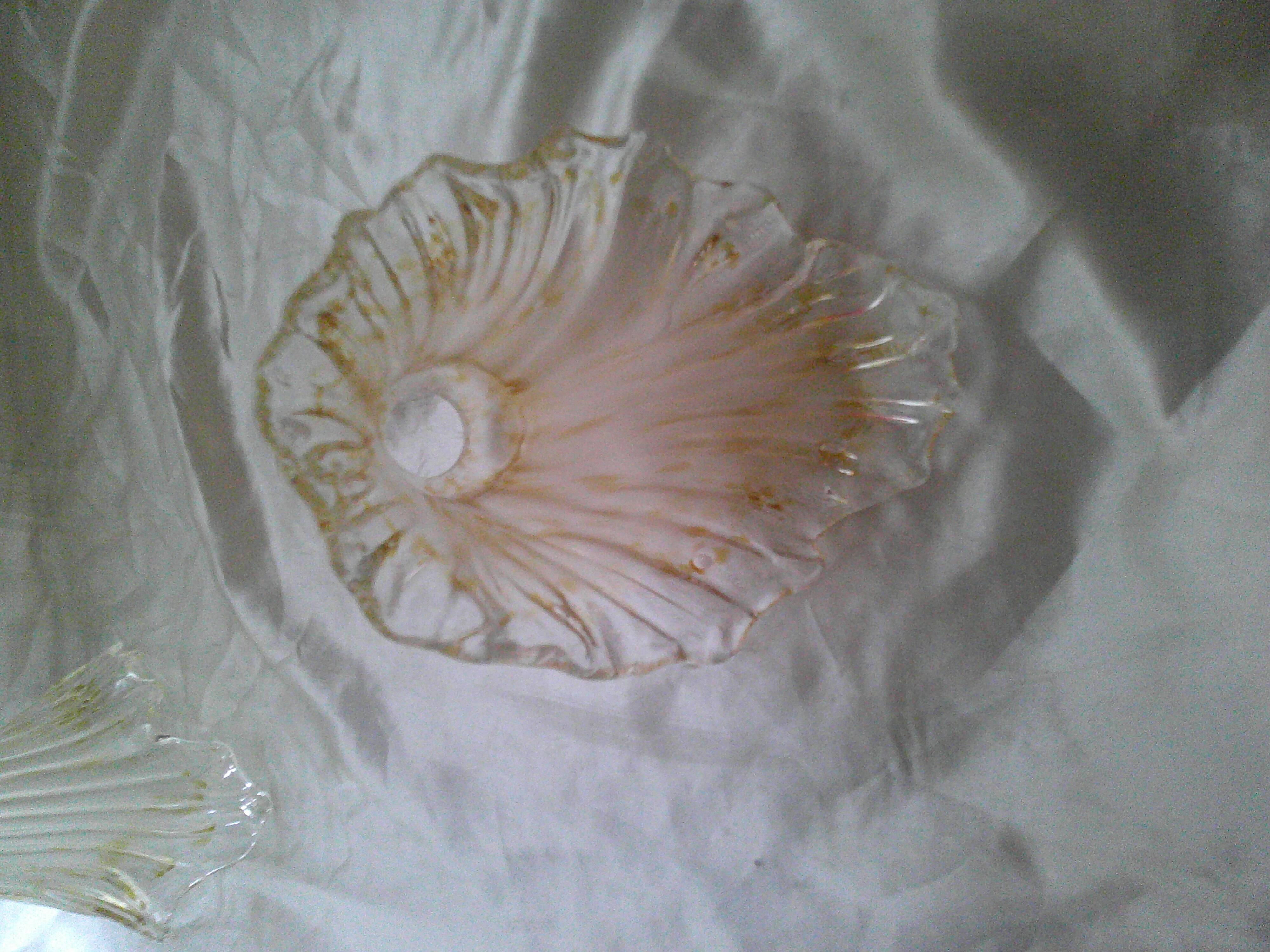 5 Abats-jours tulipe en verre
