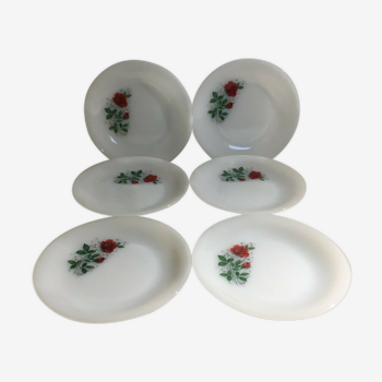 Arcopal vintage 6 assiettes à dessert motif roses rouges