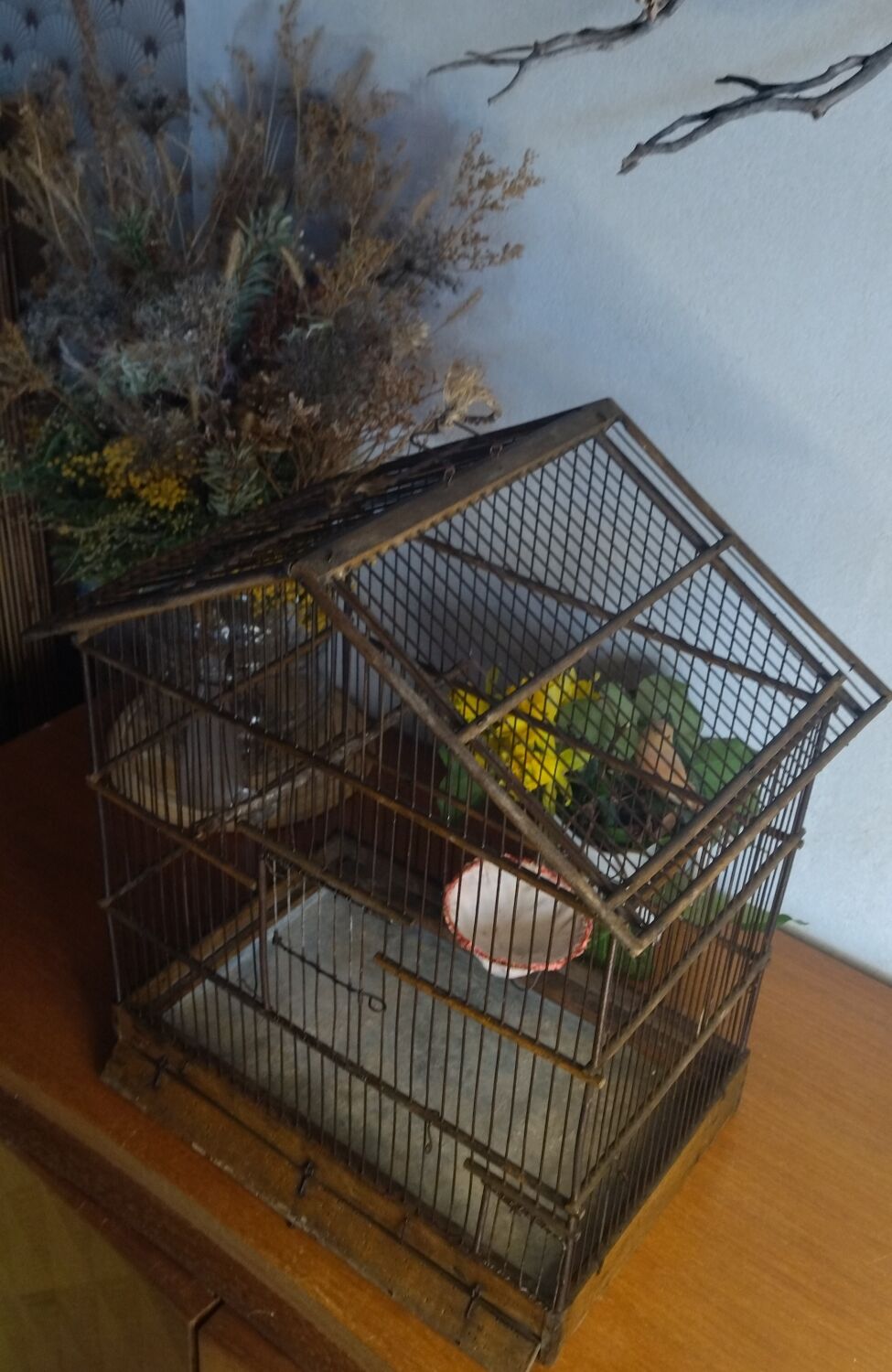 Cage ancienne