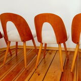 A set of four chairs, proj. A. Suman, Tatr Nabytok, Czechoslovakia, 1960s