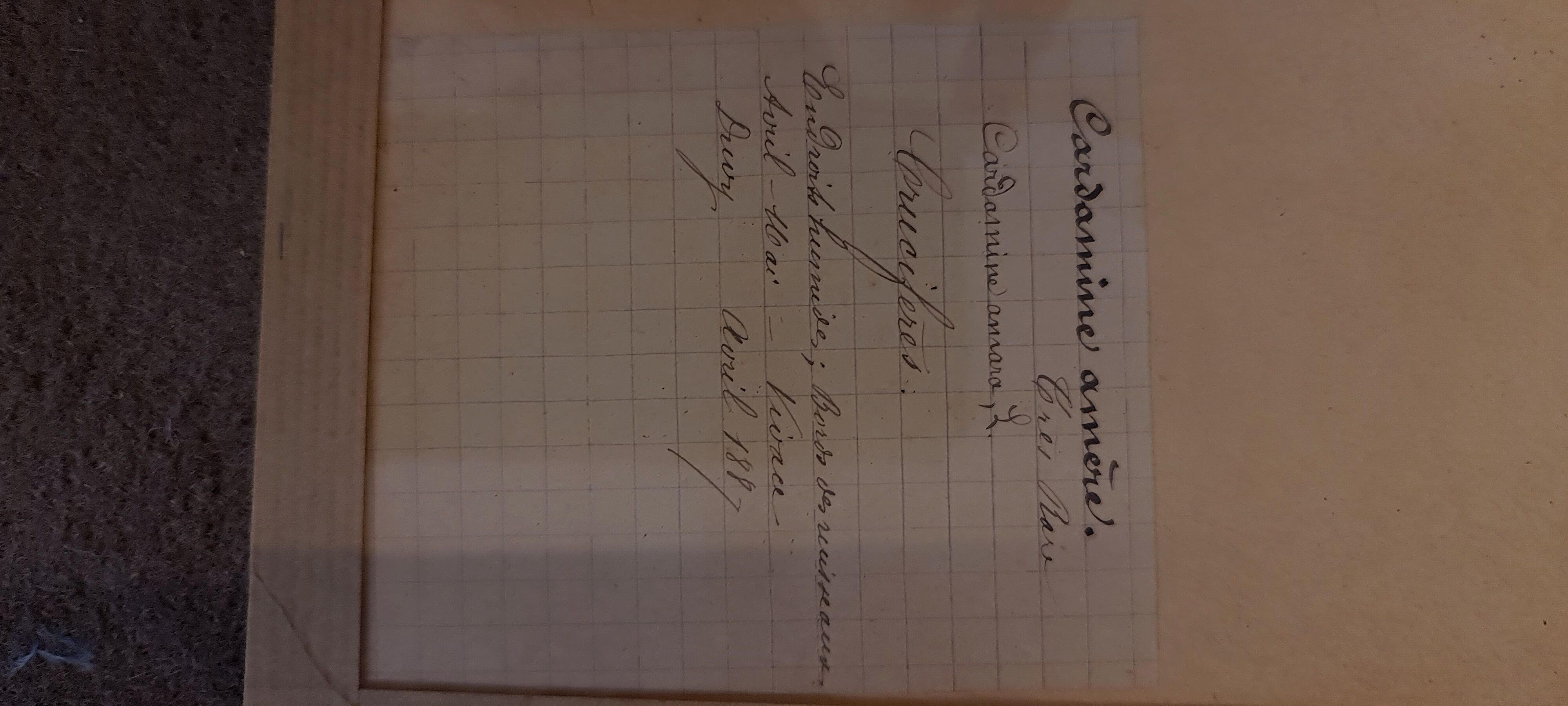 Herbarium 19th