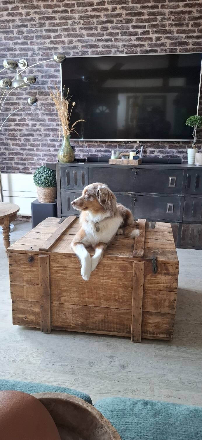 Wooden trunk or chest