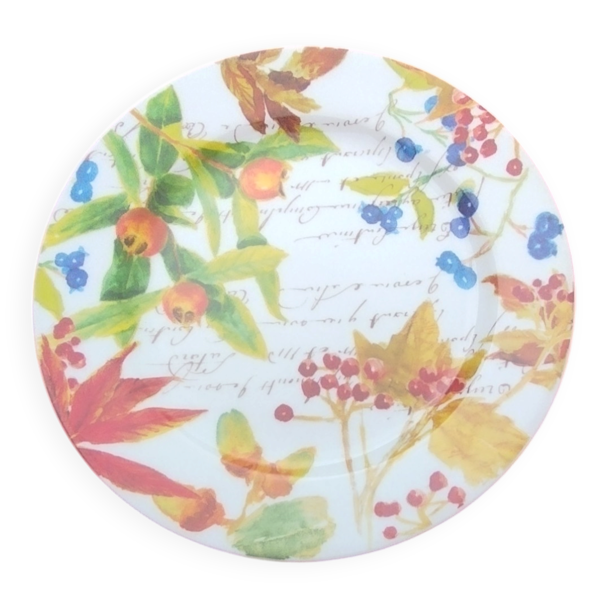 Bernardaud plates