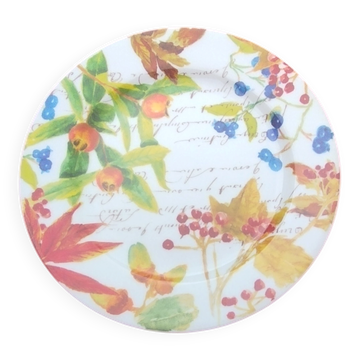 Bernardaud plates
