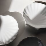 White shell cup