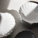 White shell cup