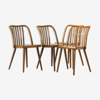Set of 4 chairs by A. Suman from TON, 1960s