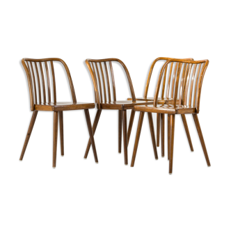 Set of 4 chairs by A. Suman from TON, 1960s