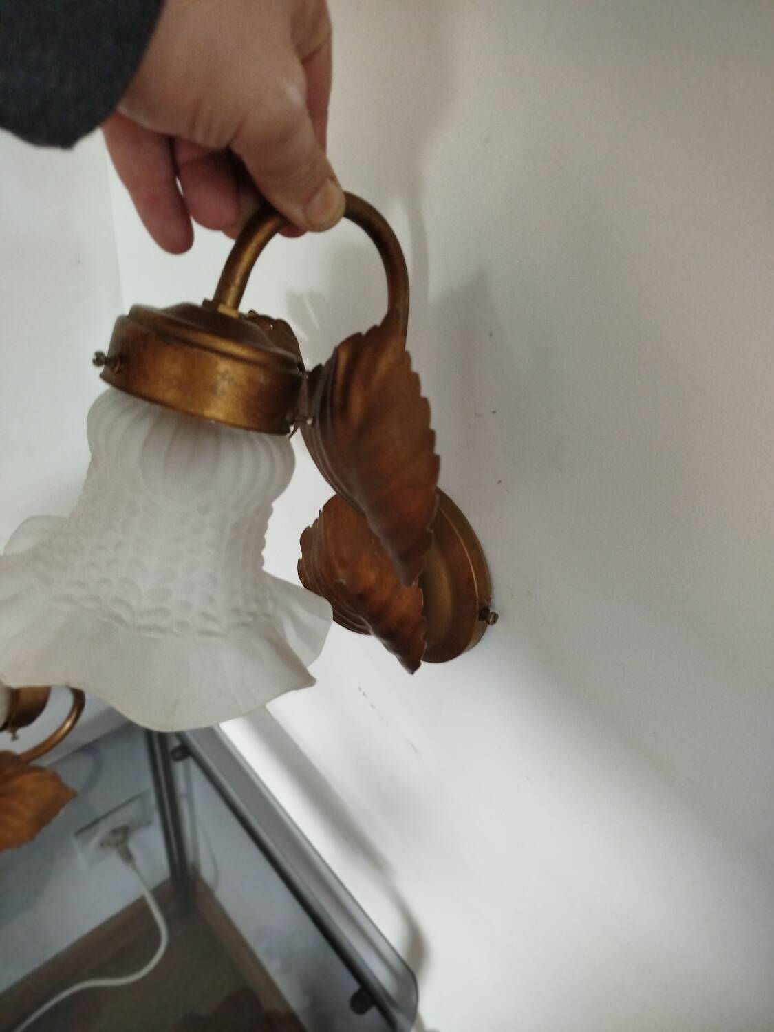 Pair of vintage flower & leaf style wall sconces - molded glass