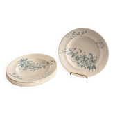 Lot 6 Plate Plates Faience Longwy Model Mignon