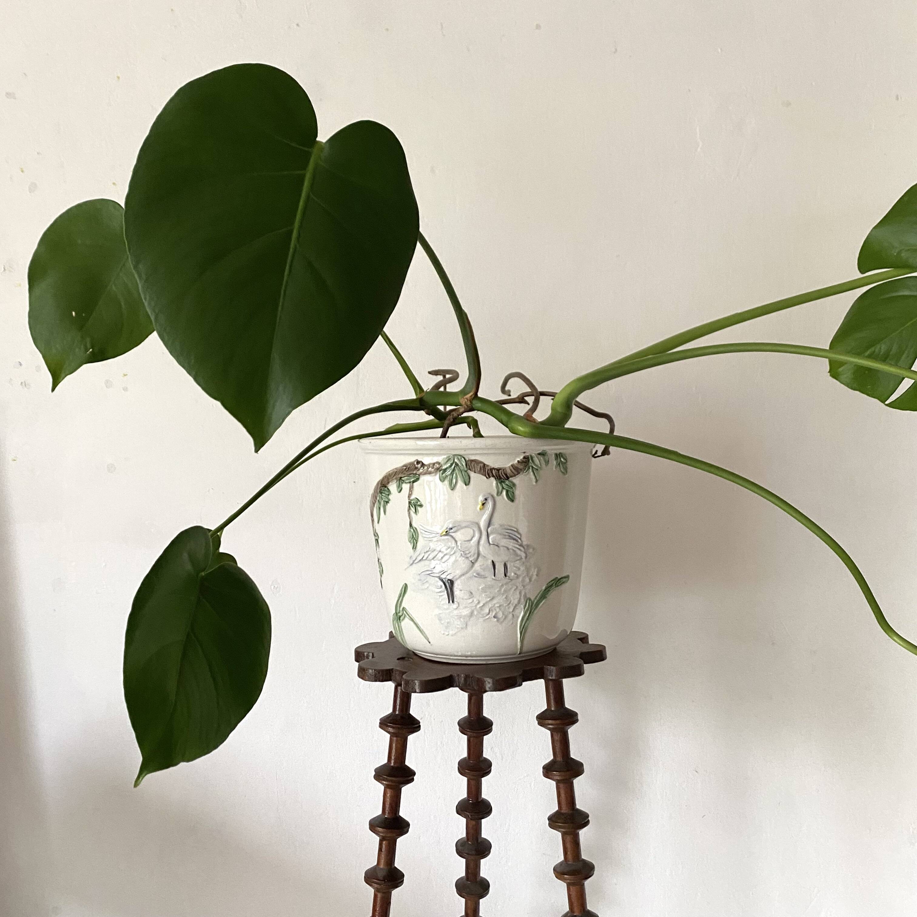 Old stand for reel plant holders 1900