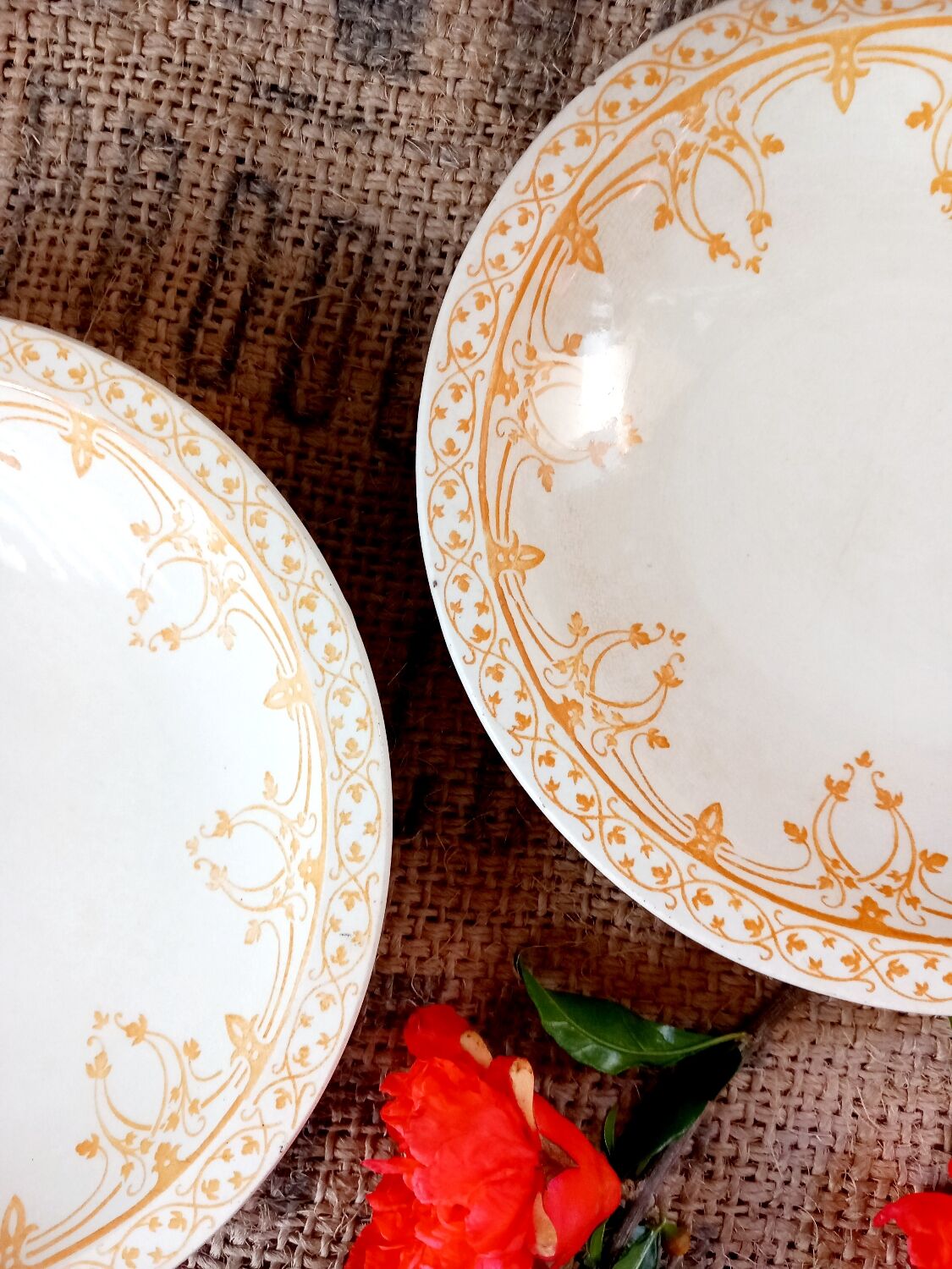 Assiettes semi creuses x2 Bruges