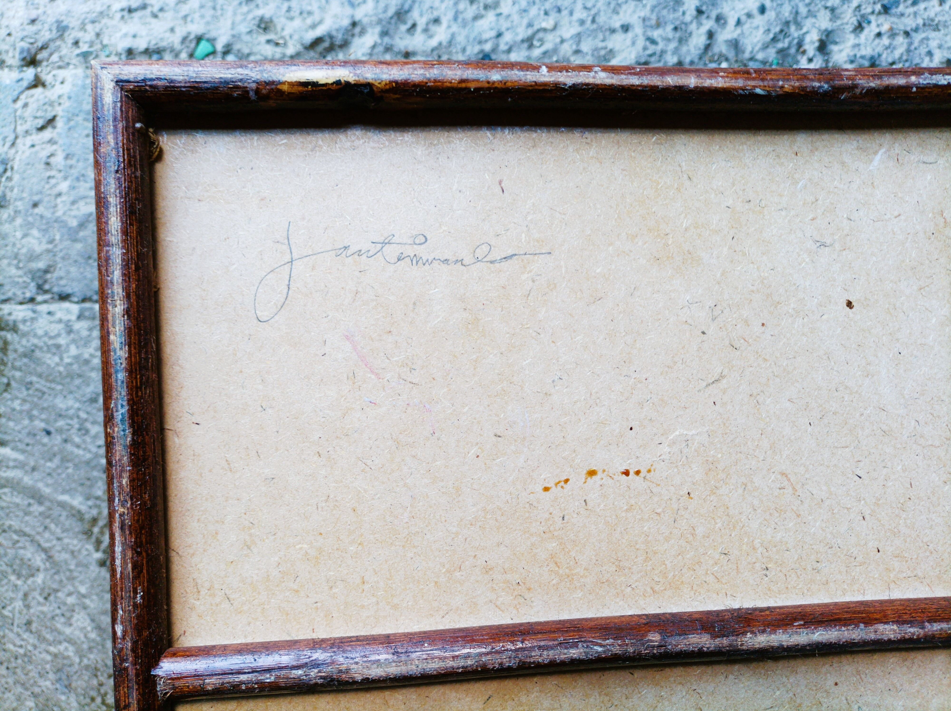 Rattan and wicker trunk