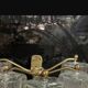 Murano Glass Tronchi Sconces Set of 8 1970’s