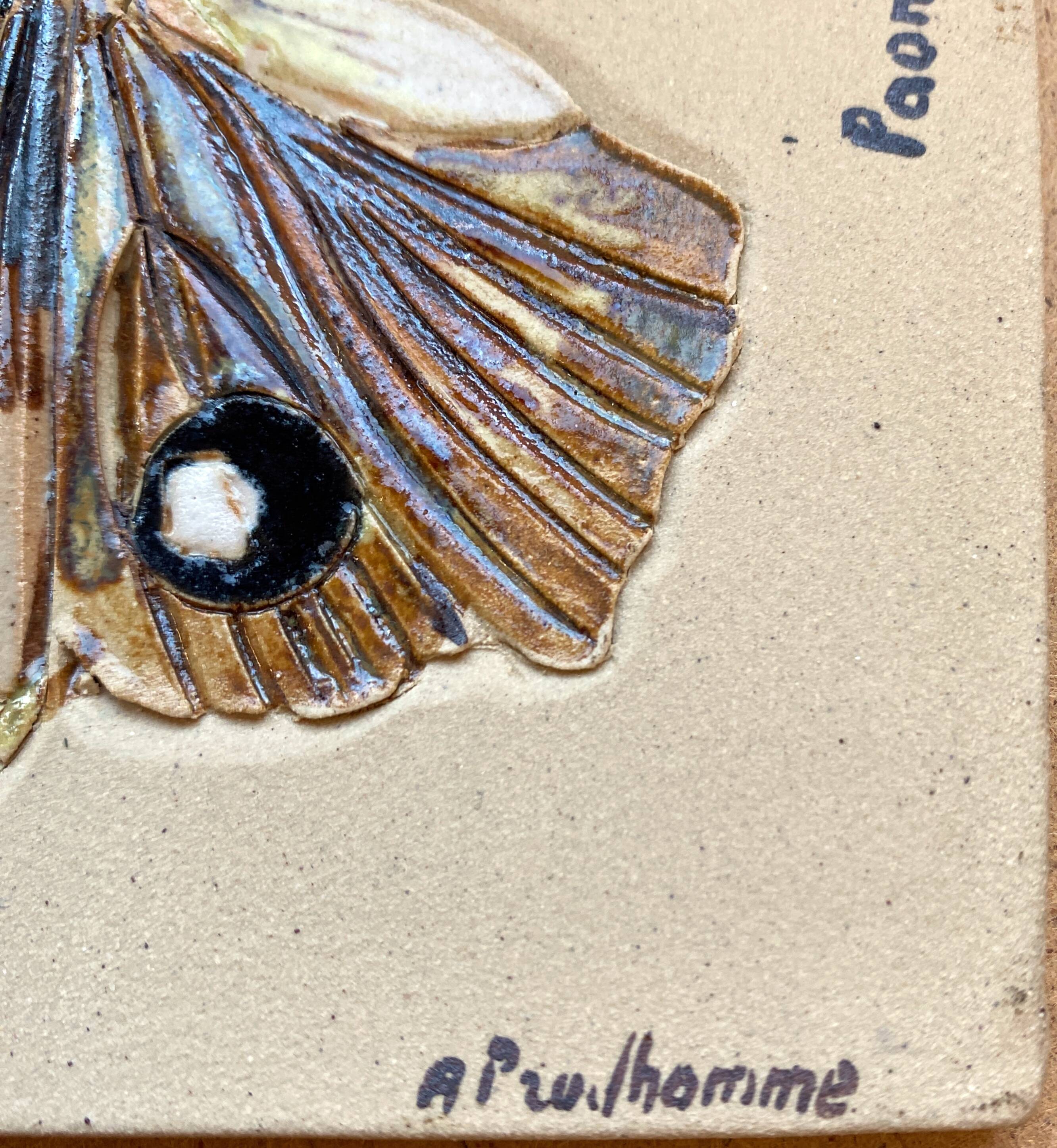 Bas relief painting / earth lepidopterology Butterflies A. Prudhomme Curiosity cabinet