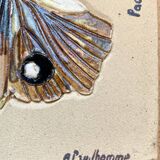 Bas relief painting / earth lepidopterology Butterflies A. Prudhomme Curiosity cabinet