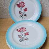 Digoin ceramic plates