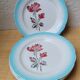 Digoin ceramic plates