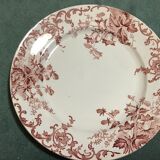 Set of 6 plates campanule st Amand