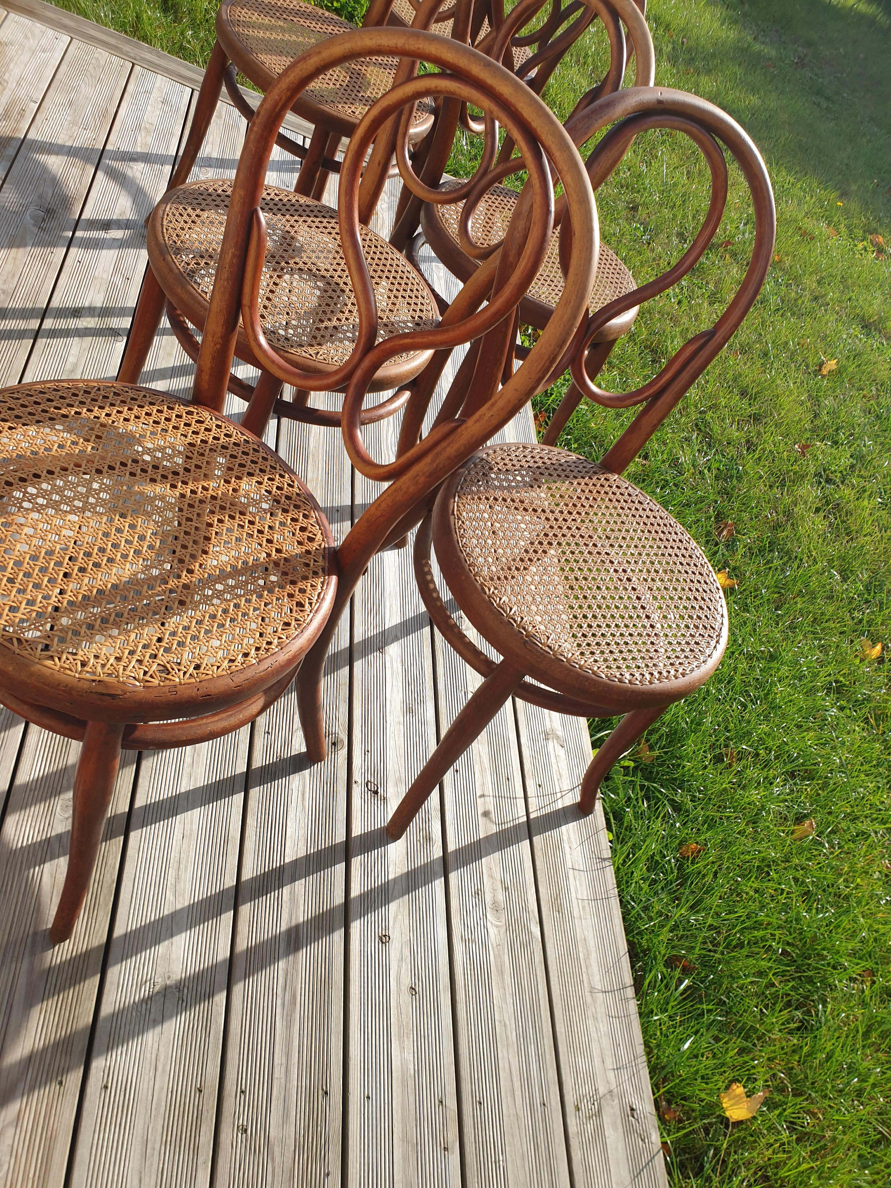 Série de 6 chaises Thonet N°20 Omega