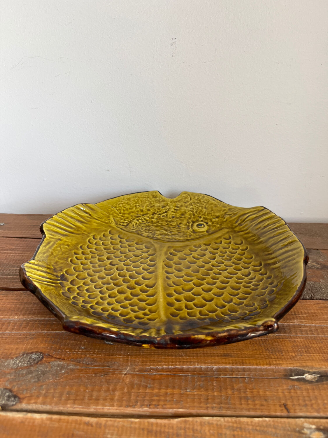 Deep plate fish