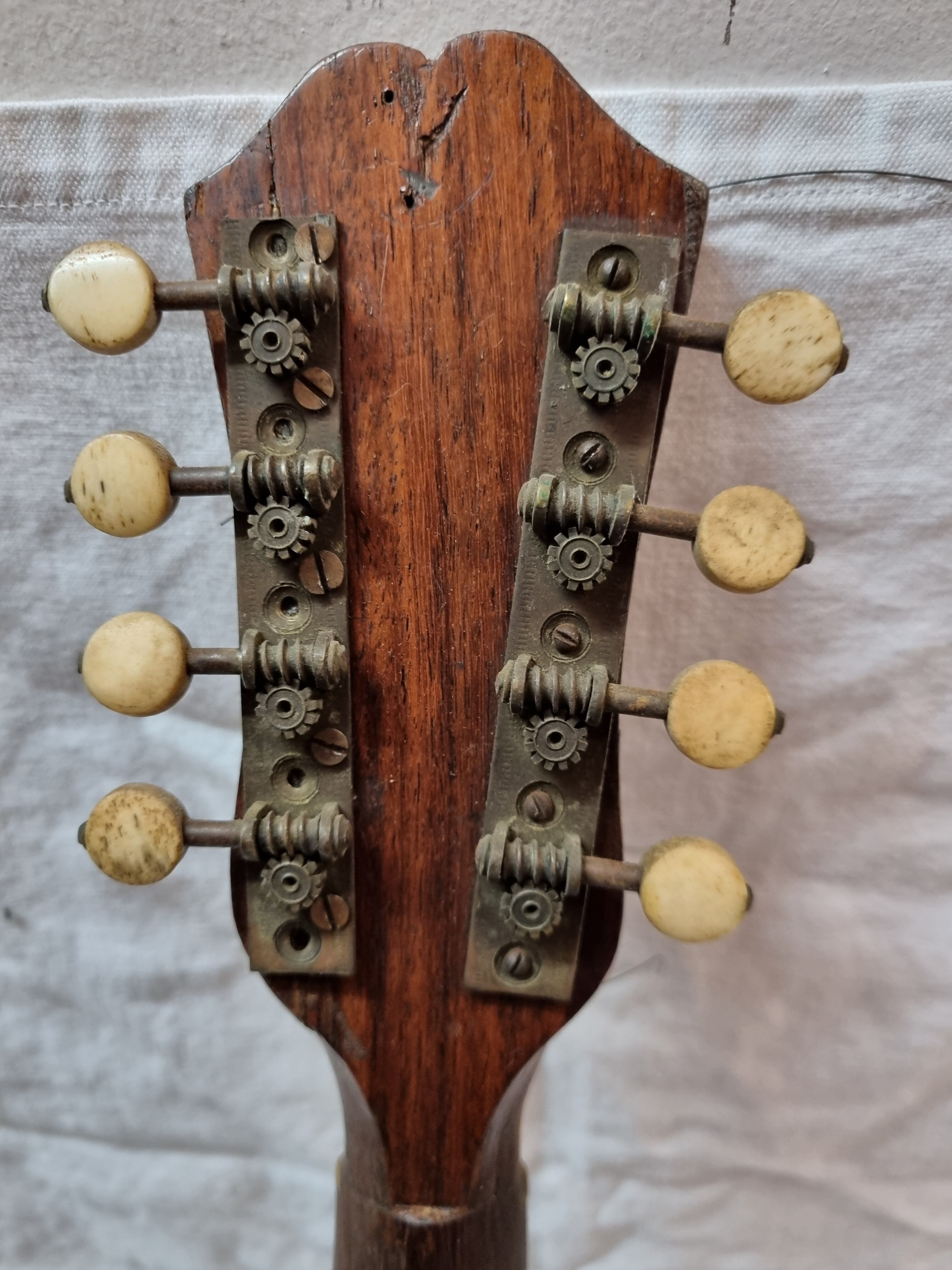 Mandolin Domenico Salvadori Napoli antico