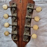 Mandolin Domenico Salvadori Napoli antico