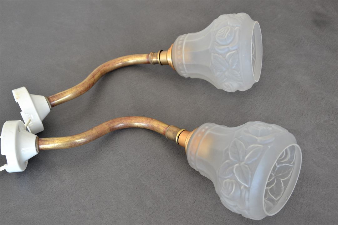 Art nouveau gooseneck wall lamp