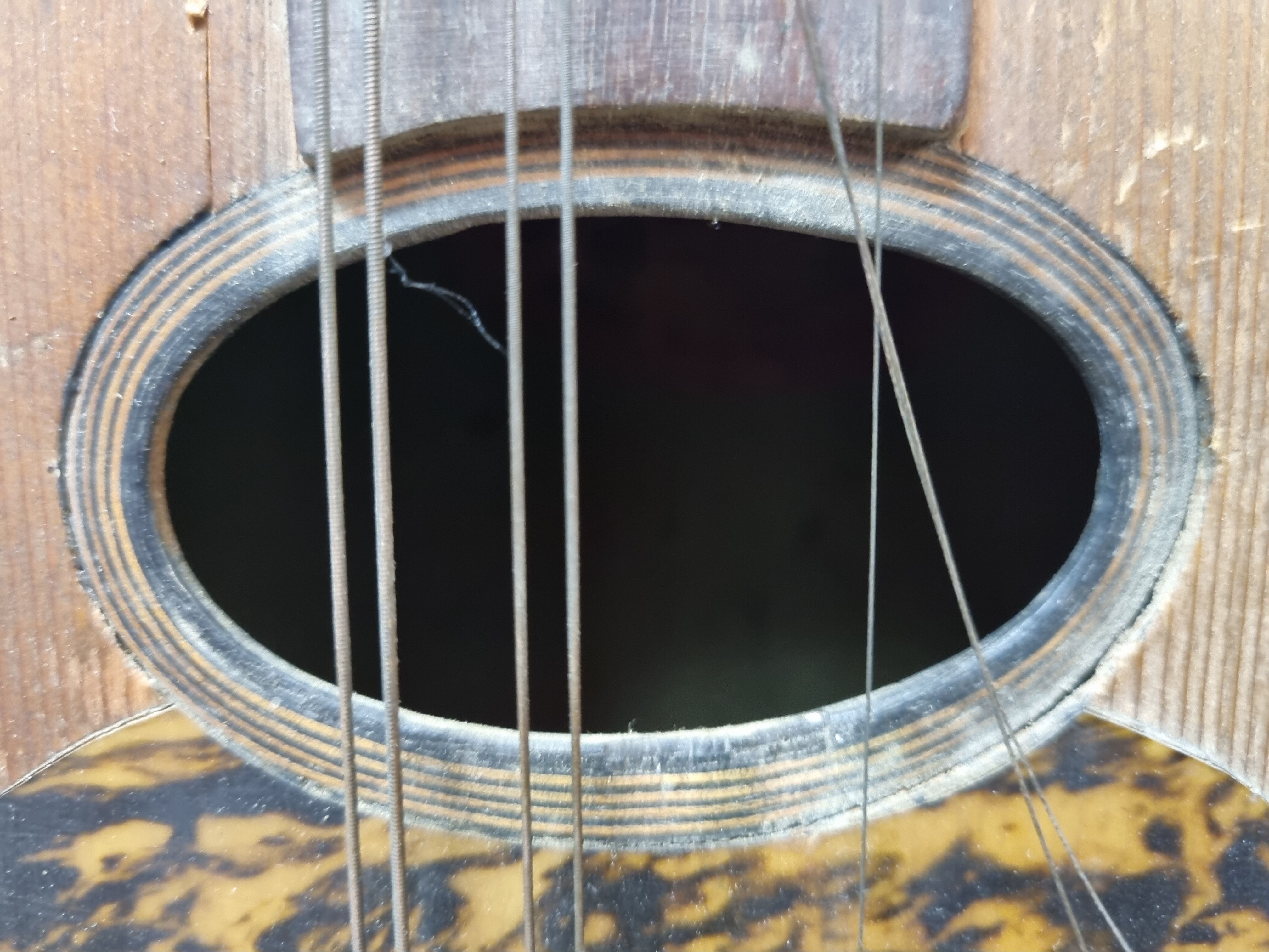 Mandolin Domenico Salvadori Napoli antico