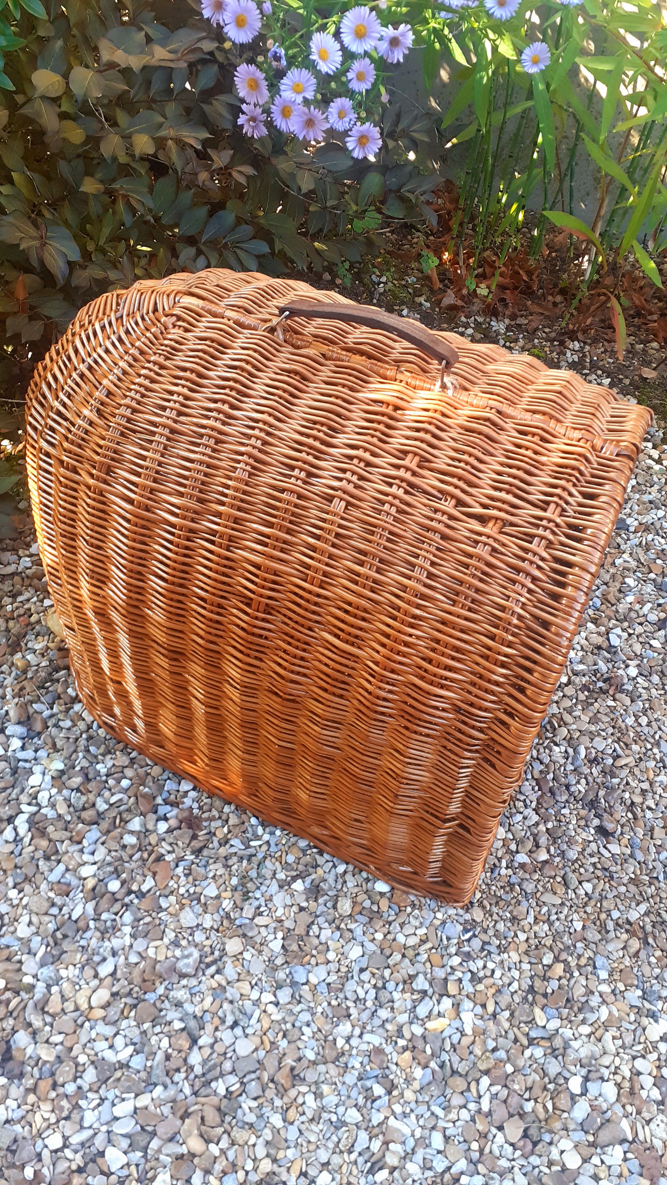 Vintage dog house year 50 in rattan