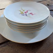 Dessert service Zeh Scherzer 1950s
