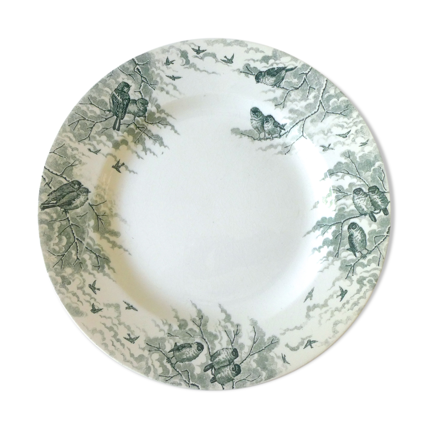 Round dish Sarreguemines, bird décor, model Snow, 1900