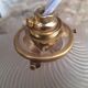 Complete Transparent Opal Suspension Wire and Ceiling Light