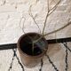 Brown glazed stoneware pot