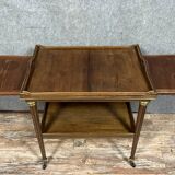 Parisian serving cart with Louis XVI style system in mahogany and bronzes