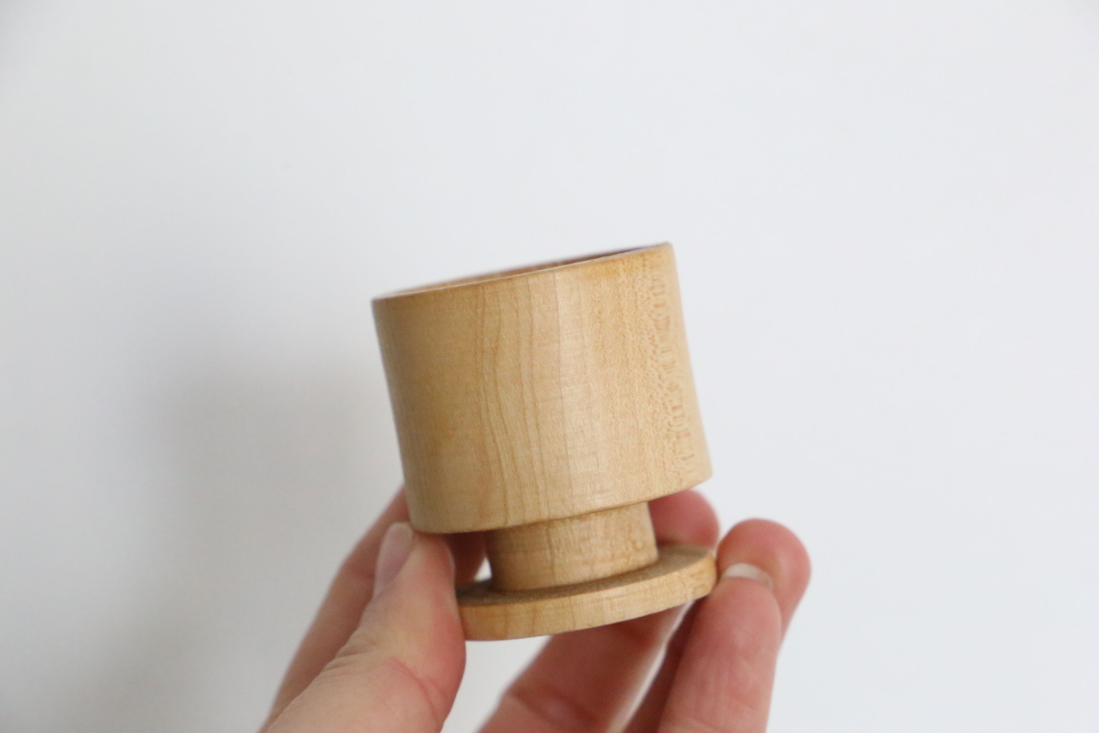 Set of 5 cockroaches on their wooden, vintage support