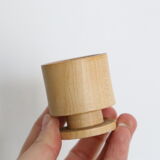 Set of 5 cockroaches on their wooden, vintage support