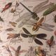 Lithographie sur les insectes de 1922