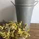 Large zinc florist vase