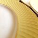 6 flat earthenware plates - Orchies - Moulin des Loups