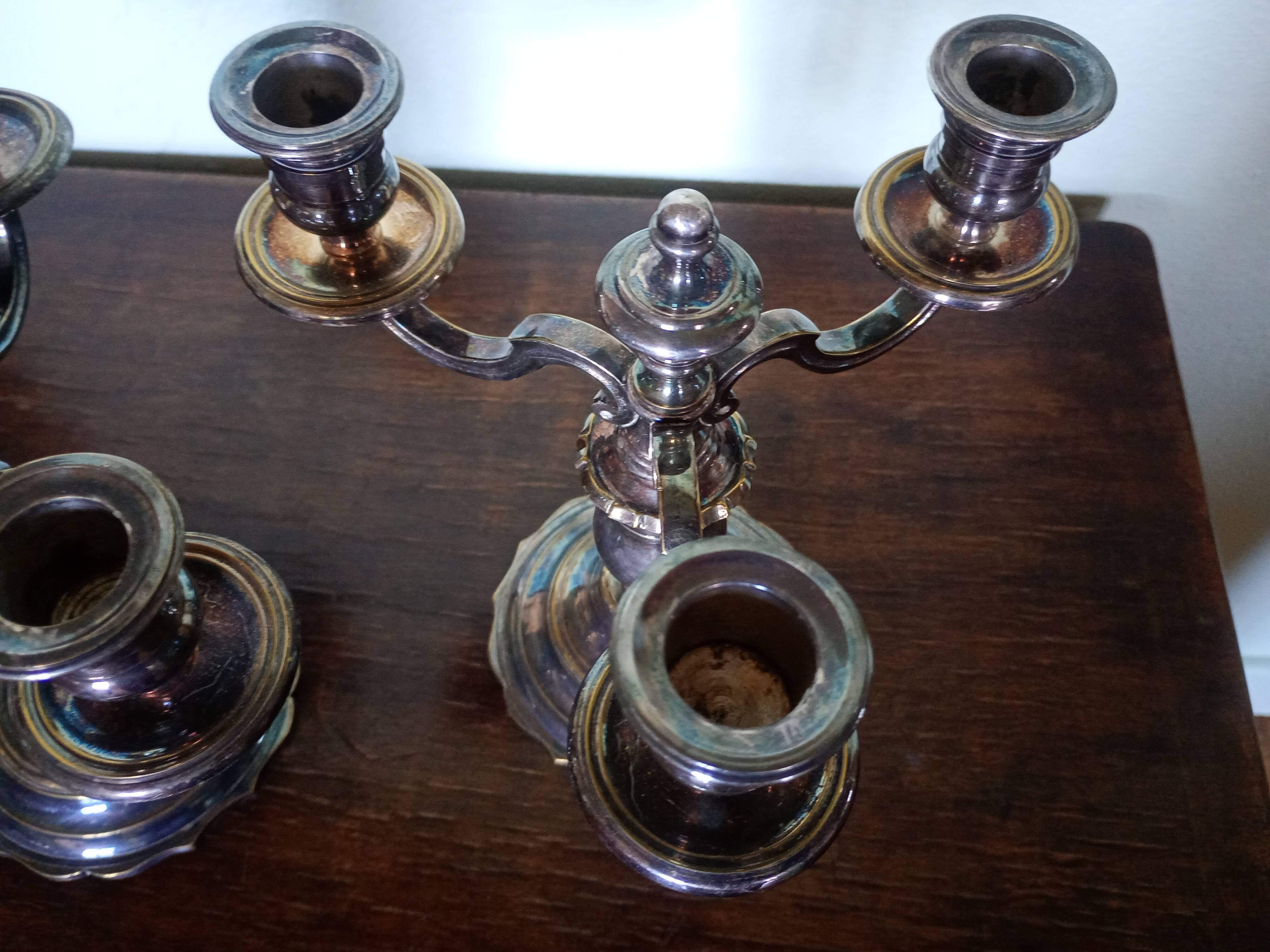 Pair - Candelabra Centerpiece - Silvered Bronze