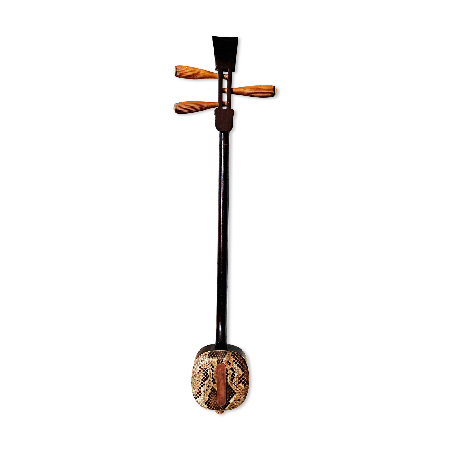 Okinawa shamisen sanshi traditional japanese instrument