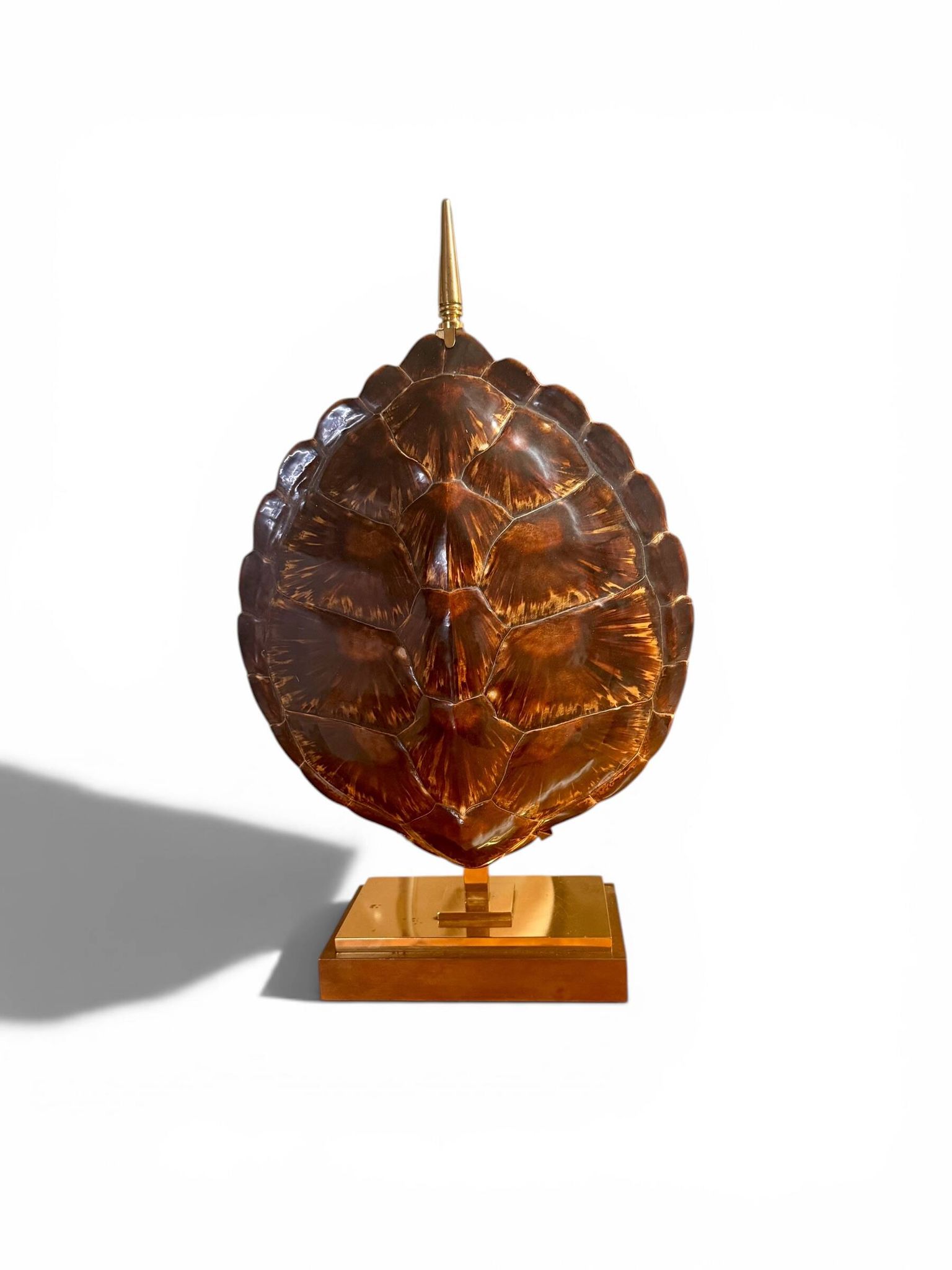 Turtle Lamp Maison Jansen - Genuine Shell & Brass (Circa 1970)