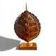 Lampe Tortue Maison Jansen - Véritable Écaille & Laiton (Circa 1970)