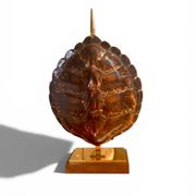 Turtle Lamp Maison Jansen - Genuine Shell & Brass (Circa 1970)