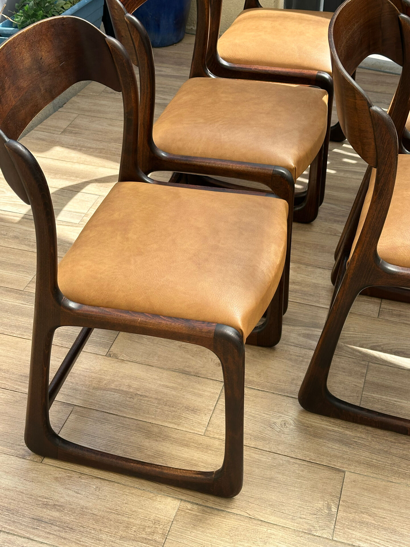 6 sled chairs by Baumann - Seats refurbished to new.