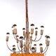 Sciolari Pendant lamp for Boulanger with 18 lights, 1960